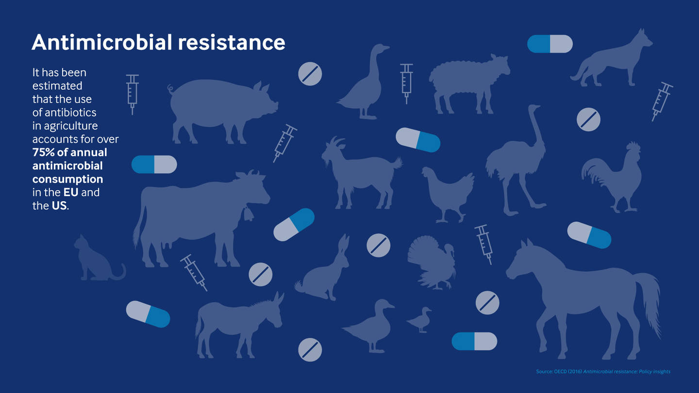 Antimicrobial Resistance