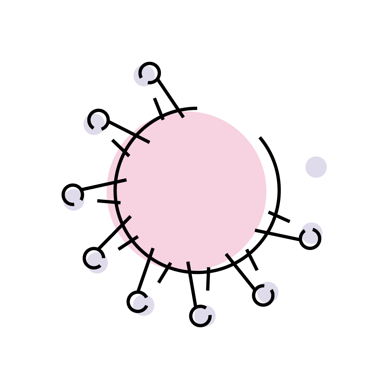 Managing the Impact of Isolation in Nursing Homes Due to COVID-19